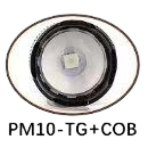 Фонарь ручной светодиодный Lightess 830-2-PM10-TG