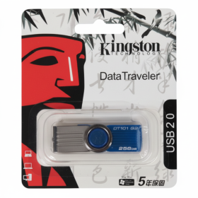 Флешка Kingston 101 G2 DataTraveler 256GB USB 2.0